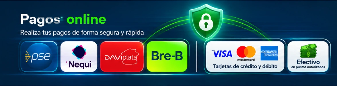 Pagos online: PSE, Nequi, Daviplata, Bre-B, tarjetas de crédito y débito y efectivo
